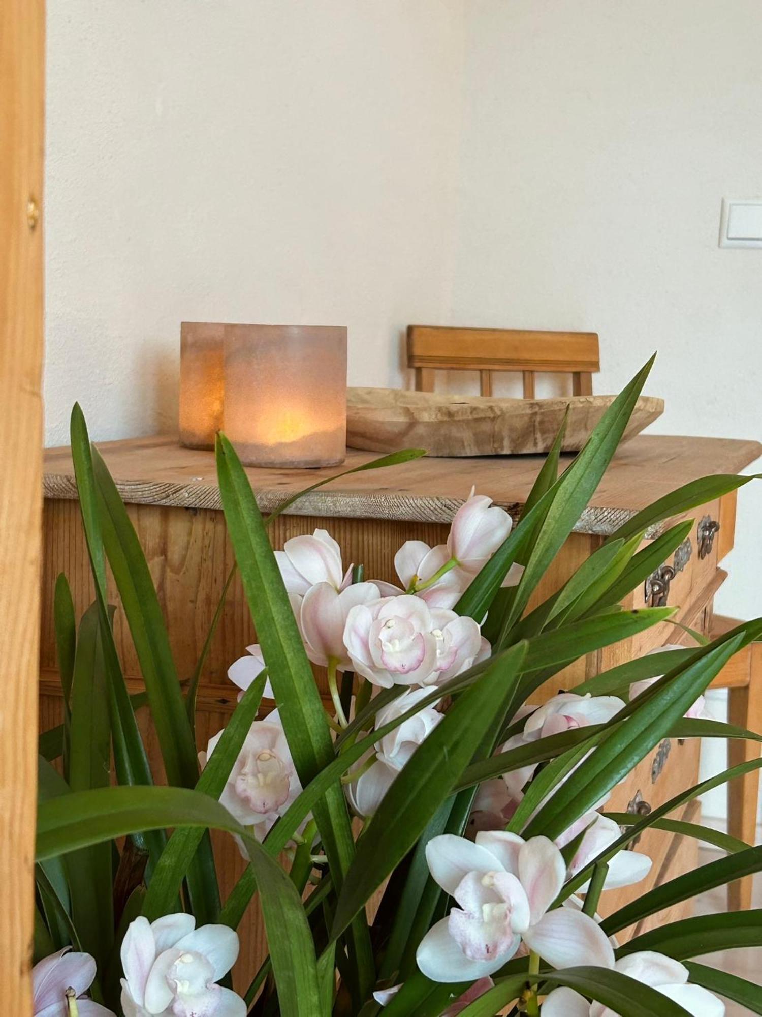Apartment Heimat-raum *